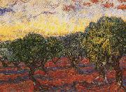 Vincent Van Gogh Olive Grove oil painting picture wholesale